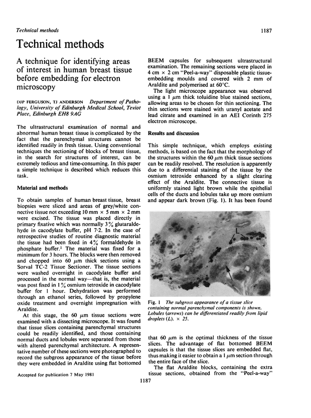 PDF extract preview