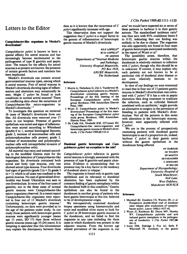 PDF extract preview