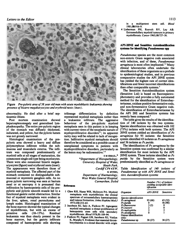 PDF extract preview
