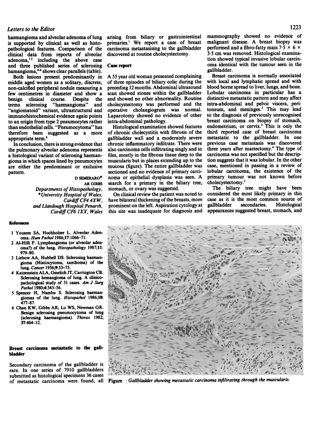 PDF extract preview