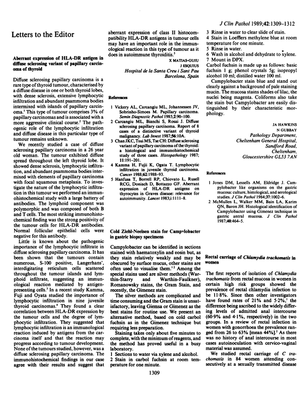 PDF extract preview