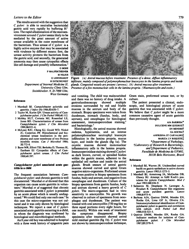 PDF extract preview