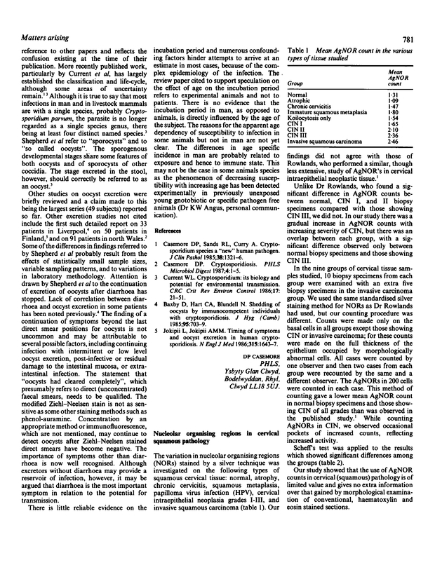 PDF extract preview
