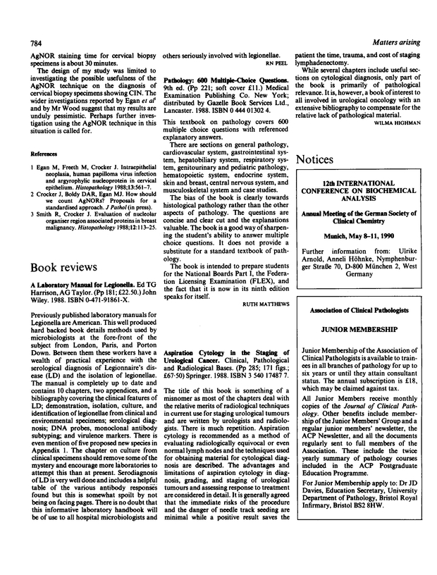 PDF extract preview