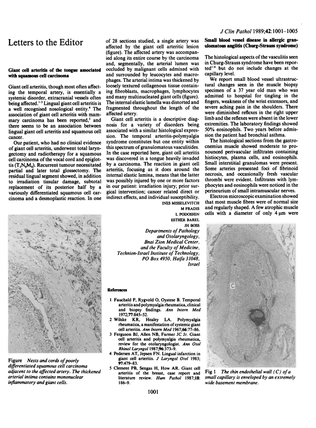 PDF extract preview