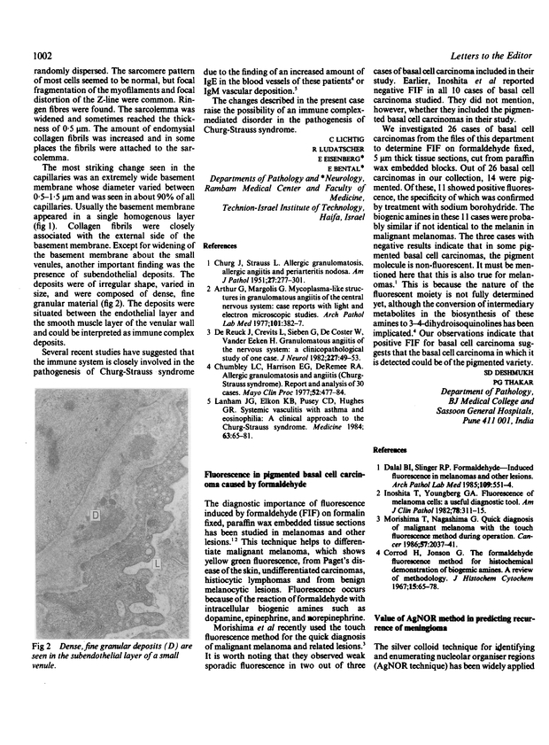 PDF extract preview