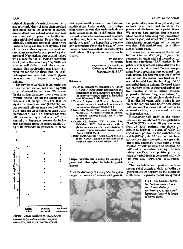 PDF extract preview