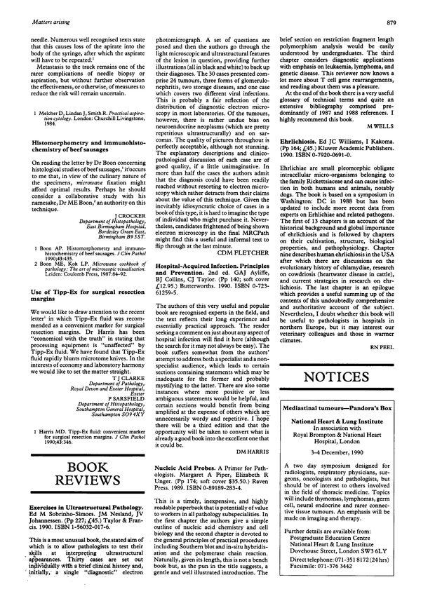 PDF extract preview