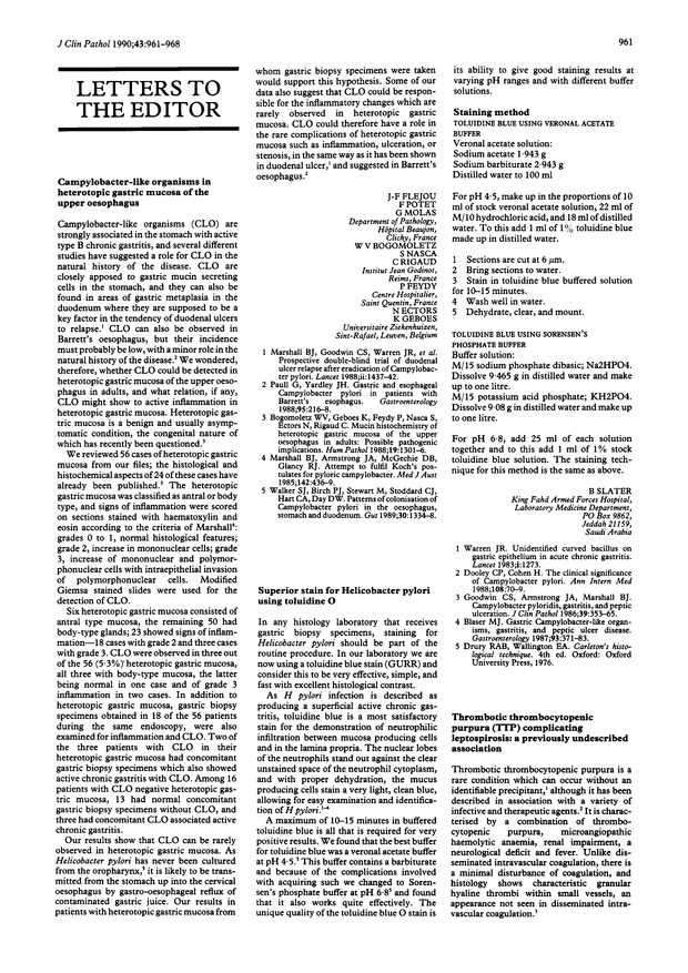 PDF extract preview