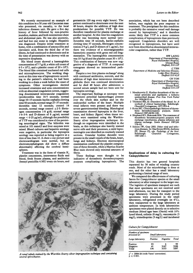 PDF extract preview
