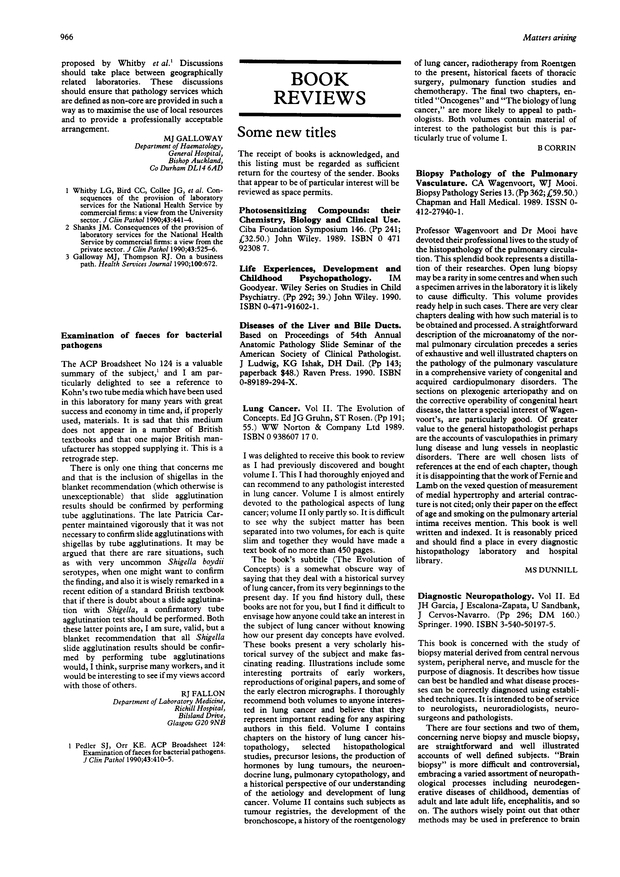 PDF extract preview