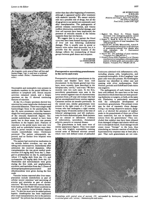 PDF extract preview