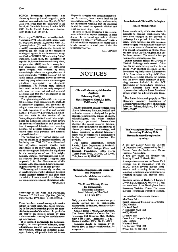 PDF extract preview
