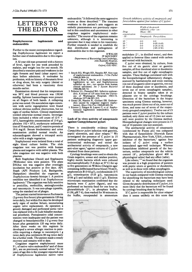 PDF extract preview