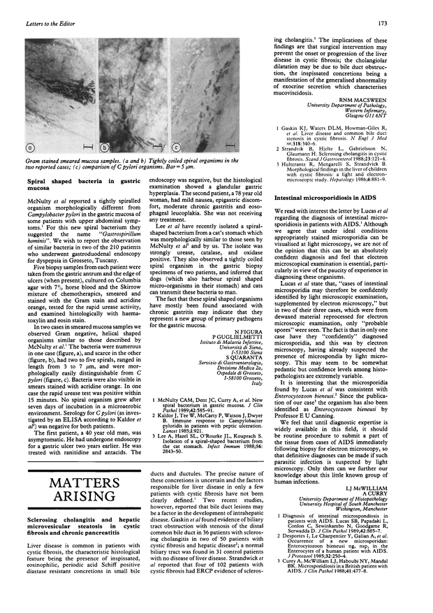 PDF extract preview