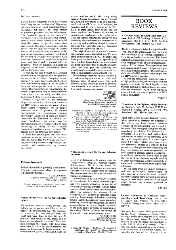 PDF extract preview
