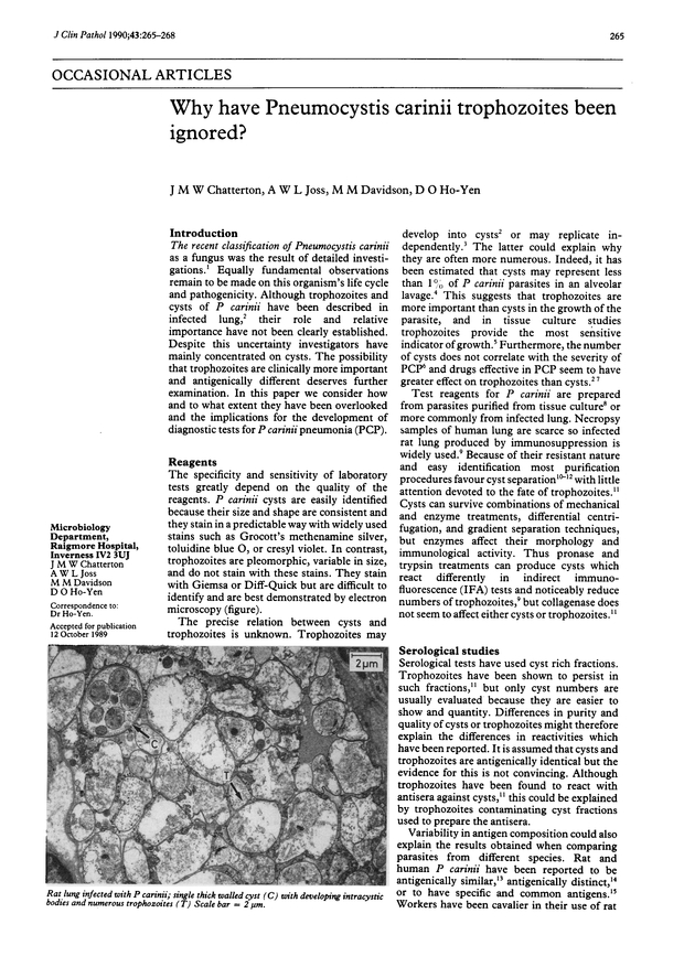 PDF extract preview