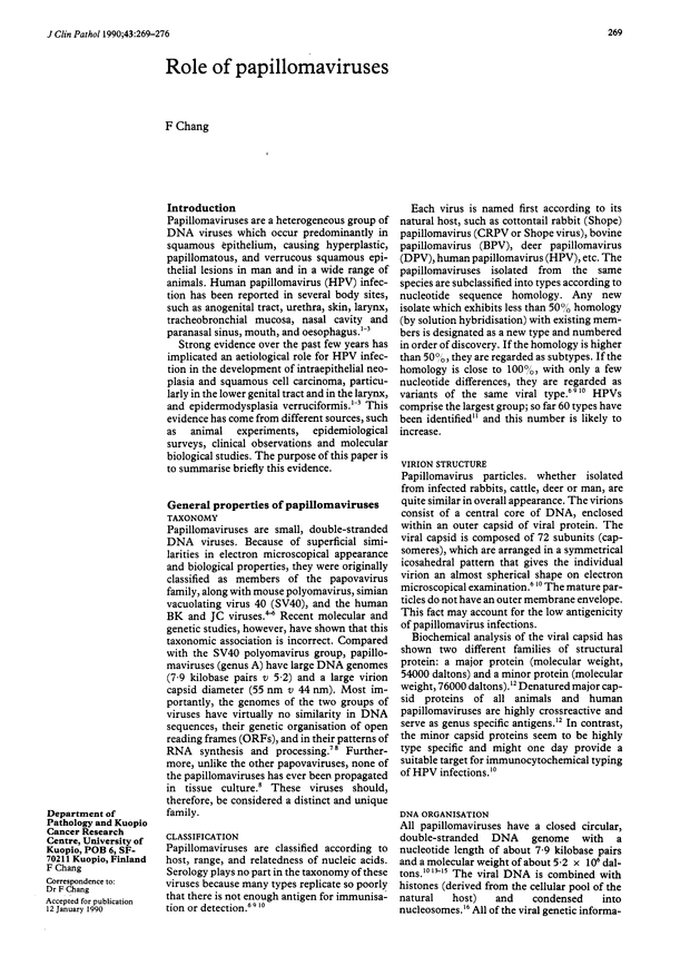 PDF extract preview
