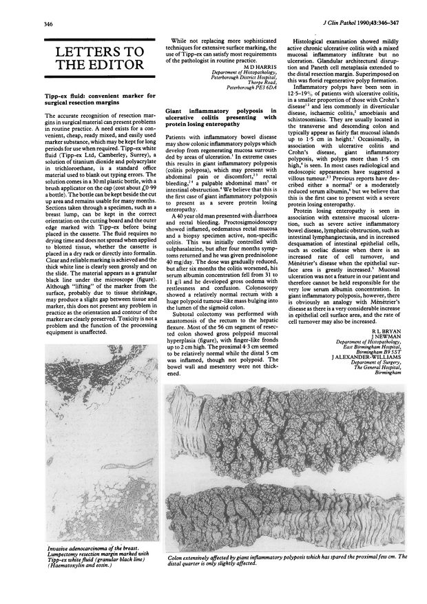 PDF extract preview