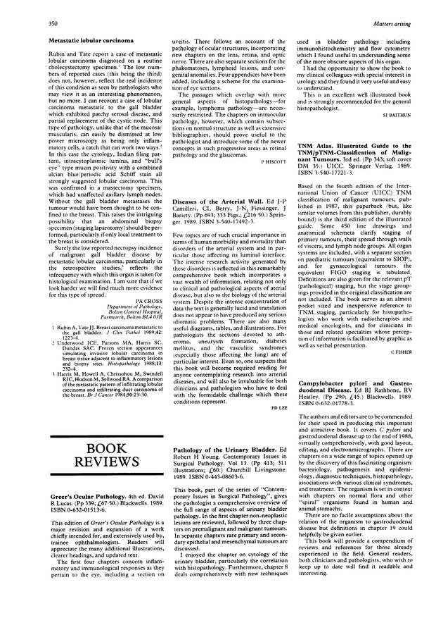 PDF extract preview