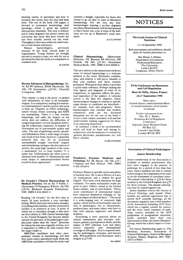 PDF extract preview