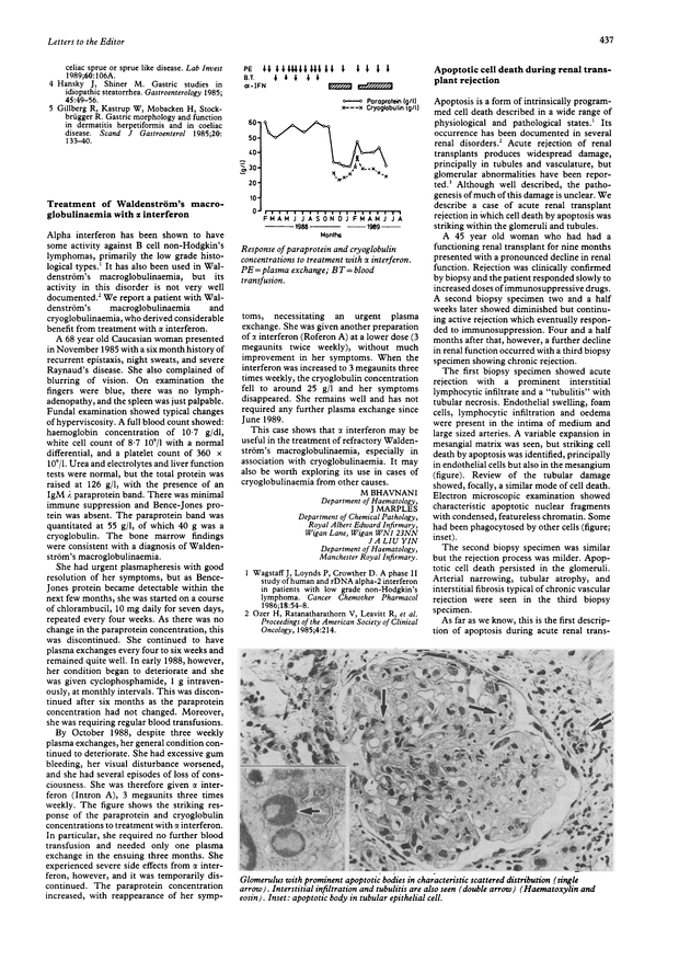 PDF extract preview