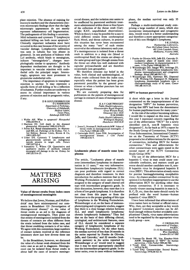 PDF extract preview