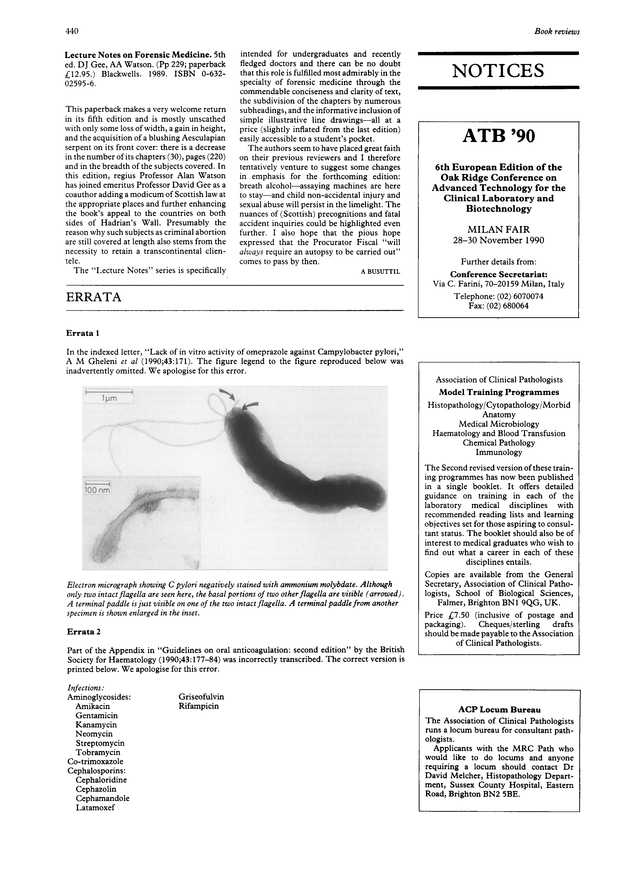 PDF extract preview
