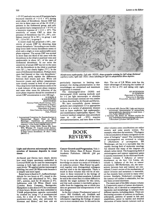PDF extract preview