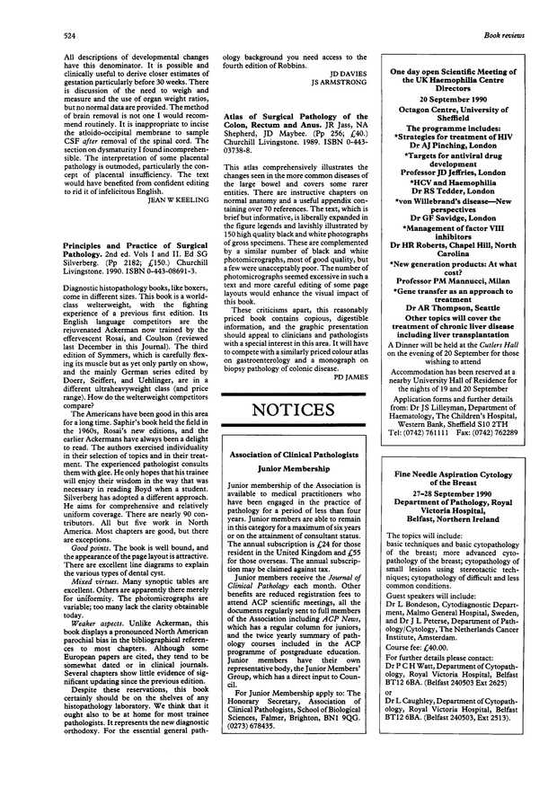 PDF extract preview
