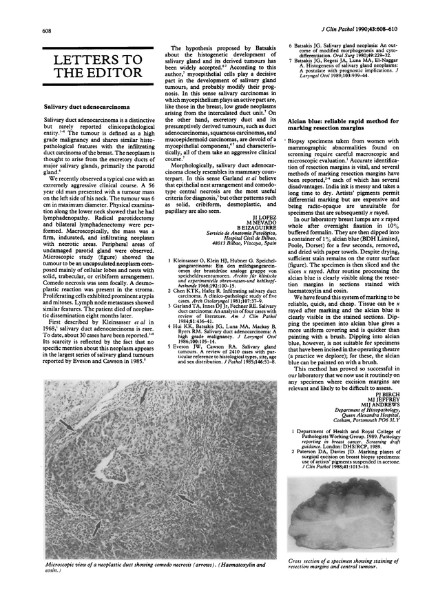 PDF extract preview