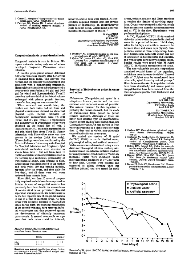 PDF extract preview