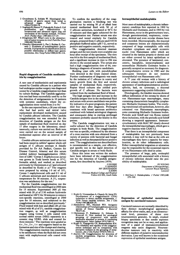 PDF extract preview