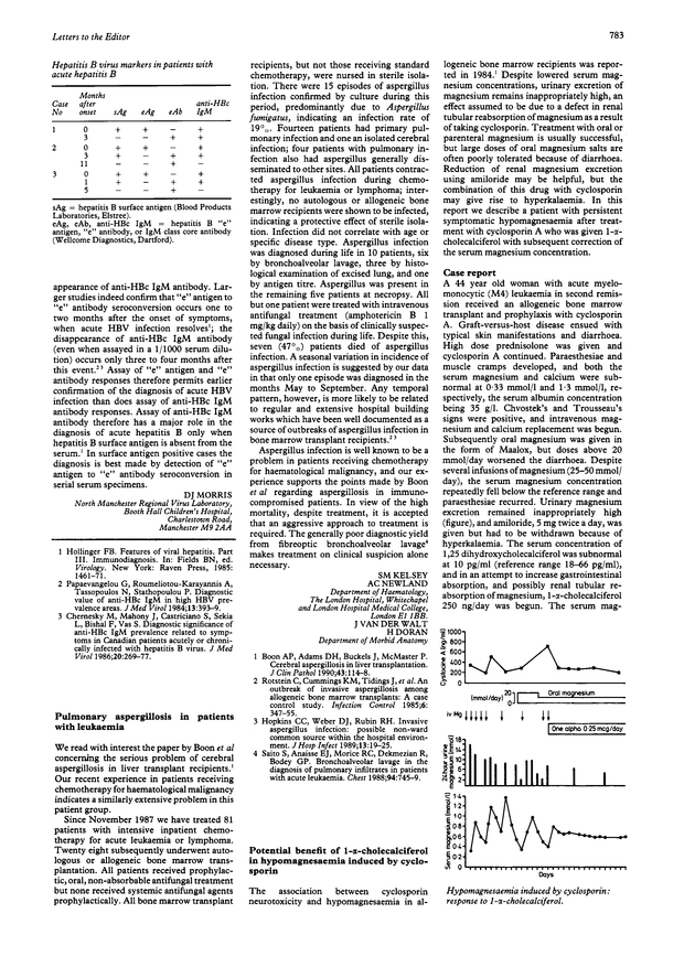 PDF extract preview