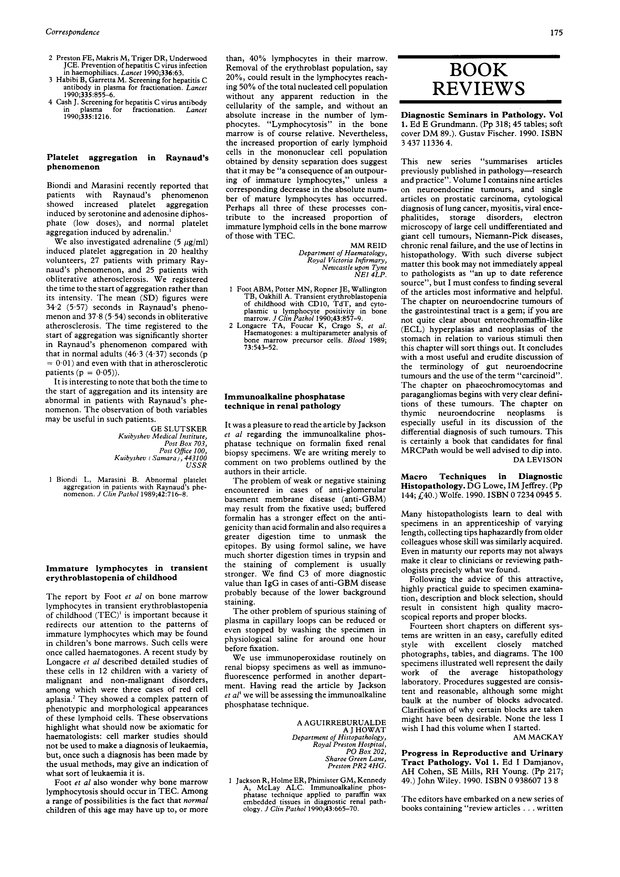 PDF extract preview