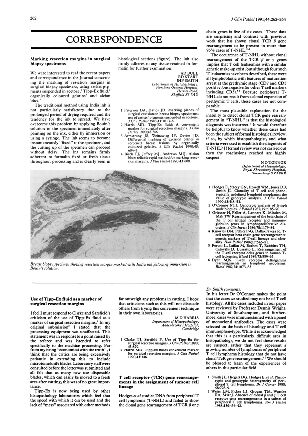 PDF extract preview