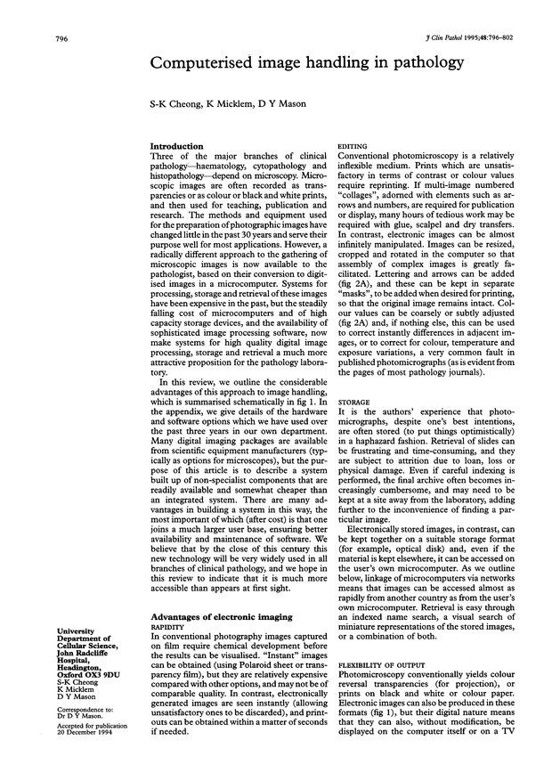 PDF extract preview