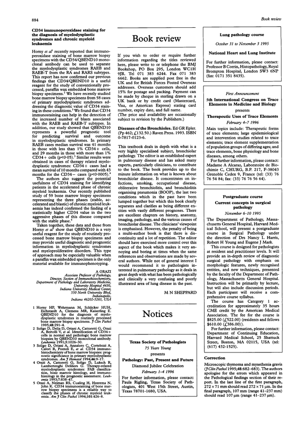PDF extract preview