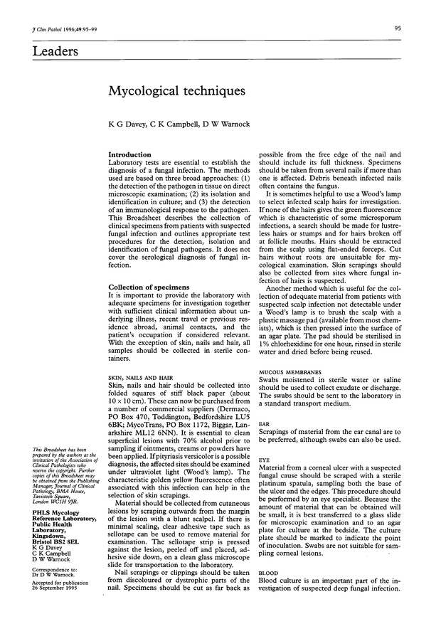 PDF extract preview