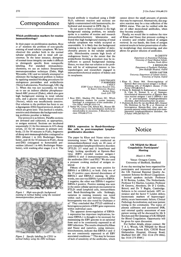 PDF extract preview