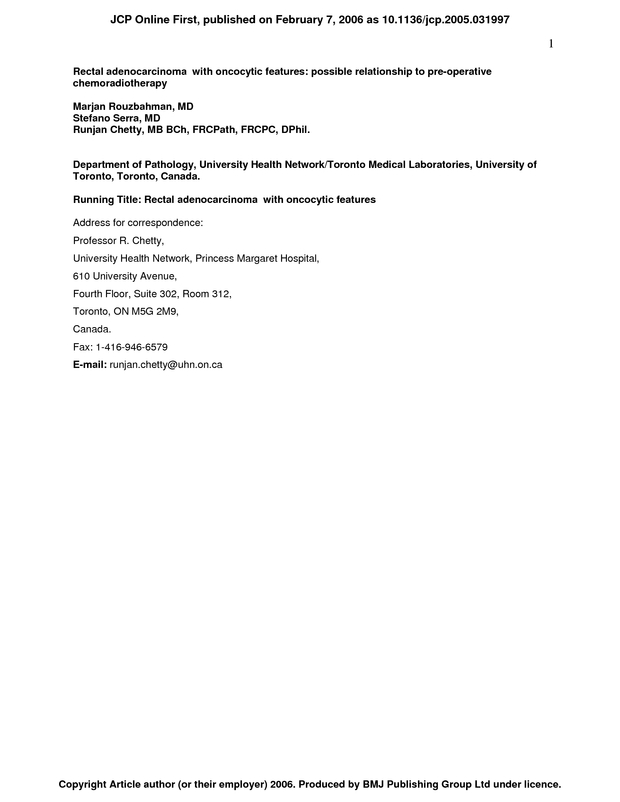 PDF extract preview