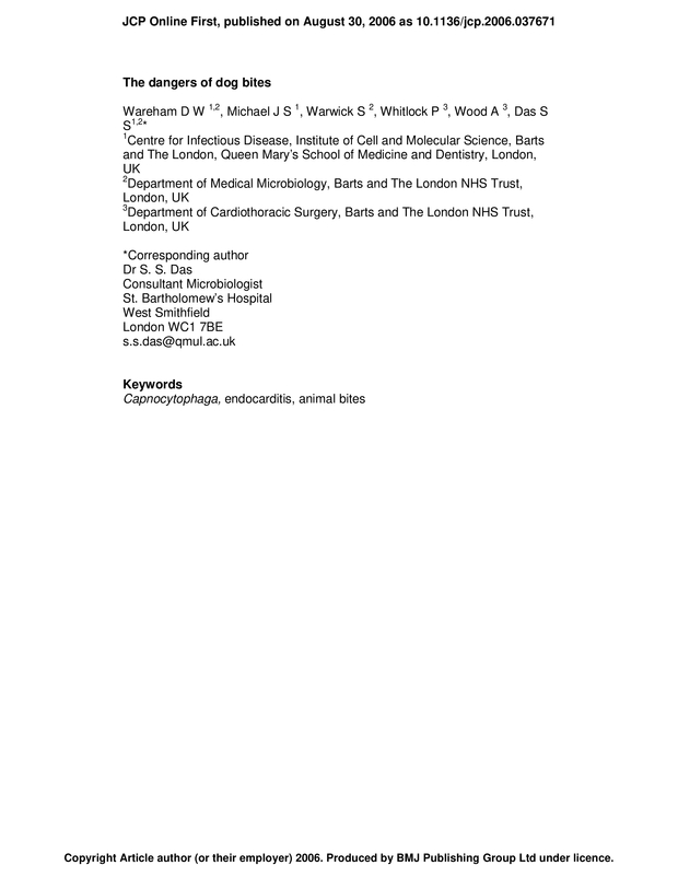 PDF extract preview