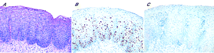   Figure 8 