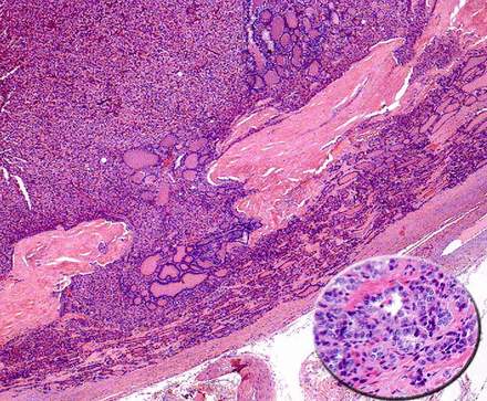 Figure 6