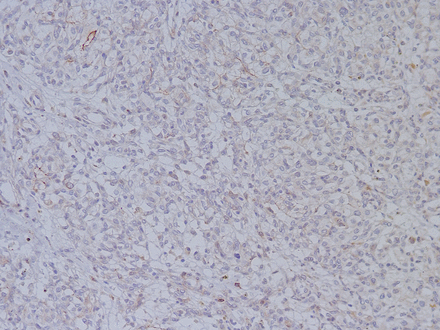 Figure 5
