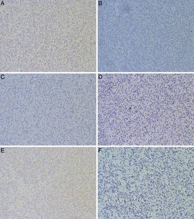 Figure 6