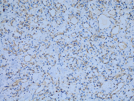 Figure 7