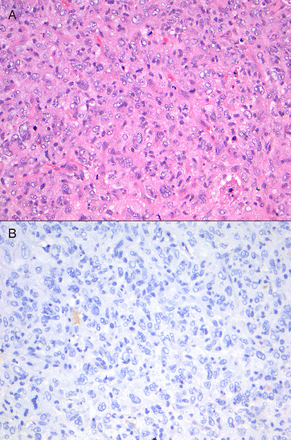 Figure 5