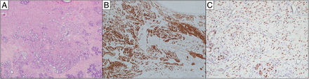 Figure 3