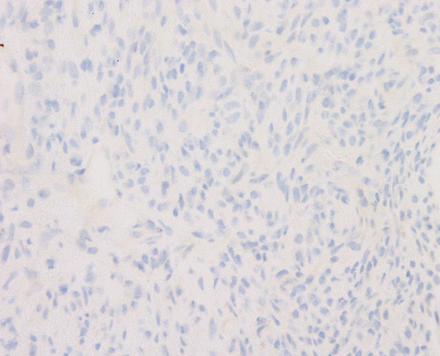 Figure 5